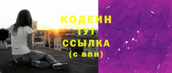 крисы Инсар