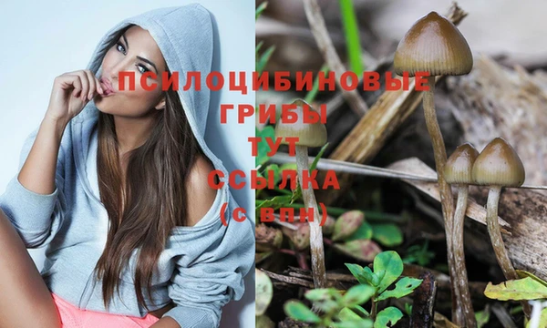 соль курить ск Иннополис