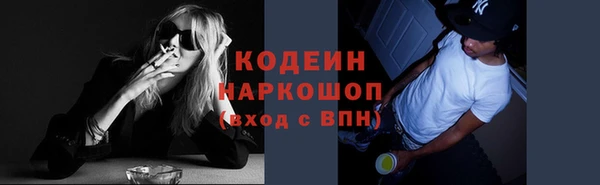 крисы Инсар