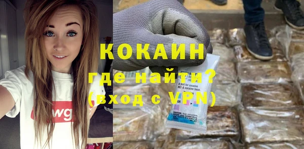 крисы Инсар