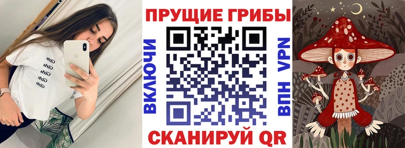 Купить закладки Приморско-Ахтарск Псилоцибиновые грибы мицелий